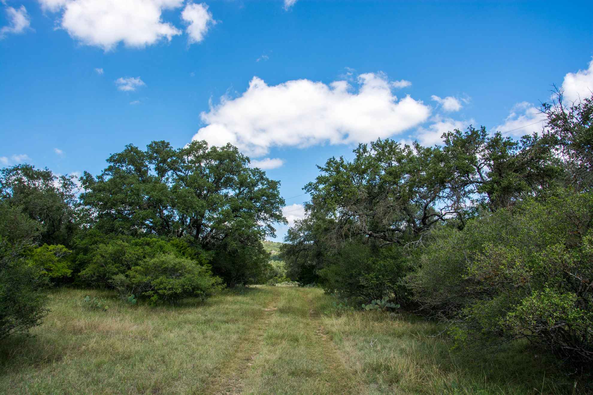 Concan Hill Country Ranch Land InvesTex LLC